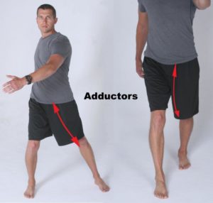 Adductor muscles can cause lower back pain