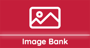 image bank