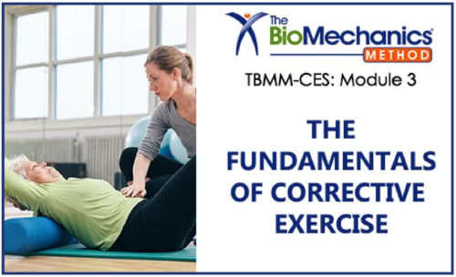 Fundamentals Corrective Exercise