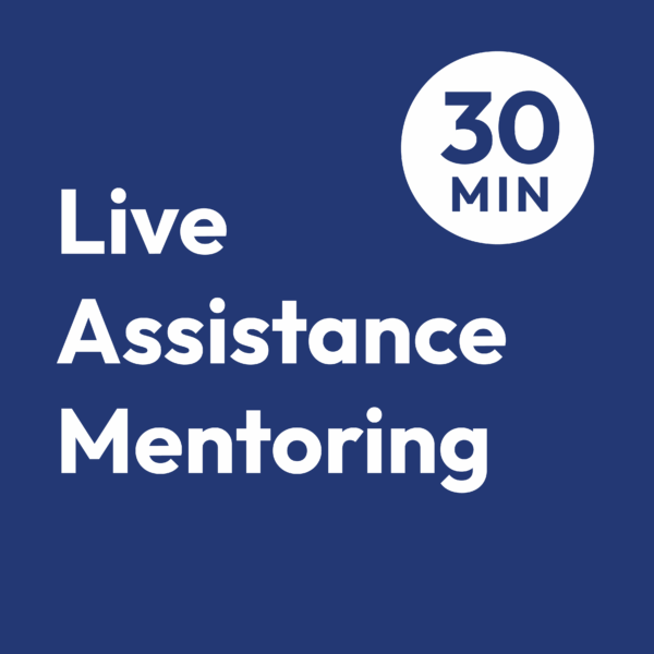 Minute Live Assistance Mentorship 30min